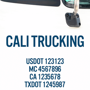Company Name Decal with USDOT, MC, CA, TXDOT