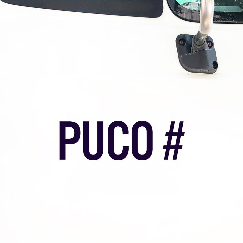 PUCO Truck Number Regulation Decal (Set of 2) – USDOT NUMBER STICKERS